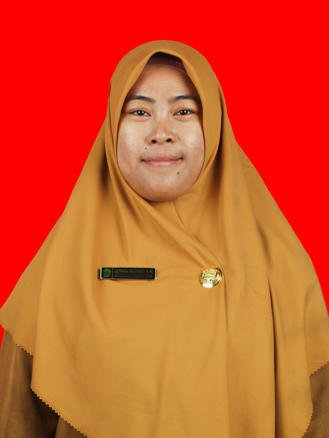 Liliyanda Megawati, S.Pd