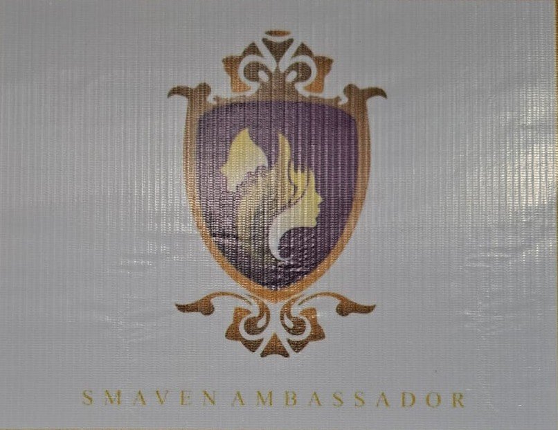 SMAVE AMBASSADOR